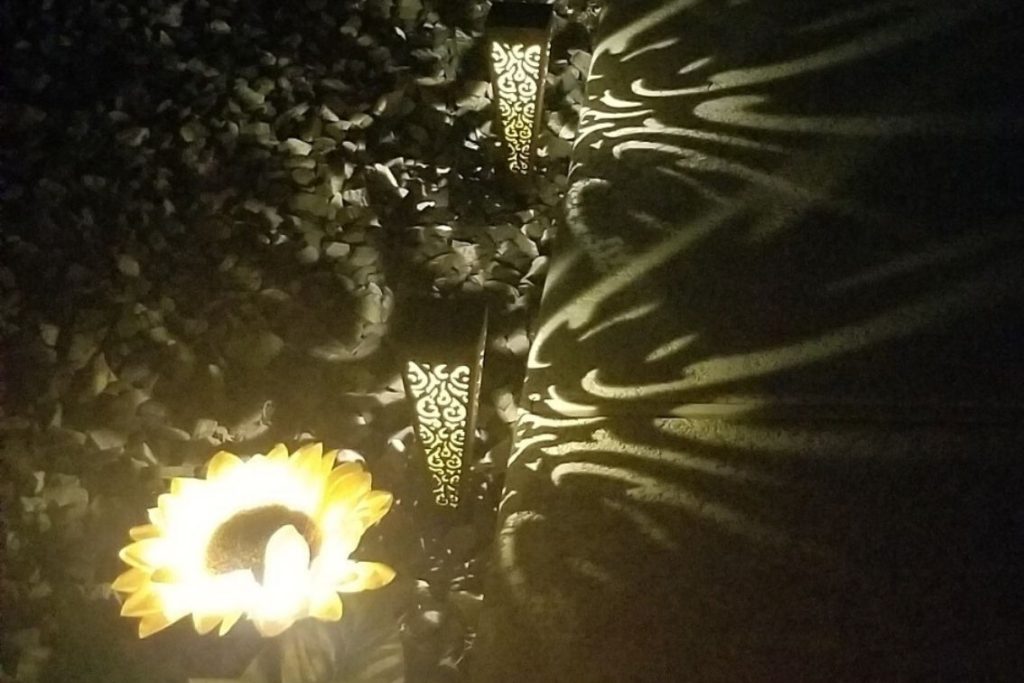 solar pattern lights and sunflower