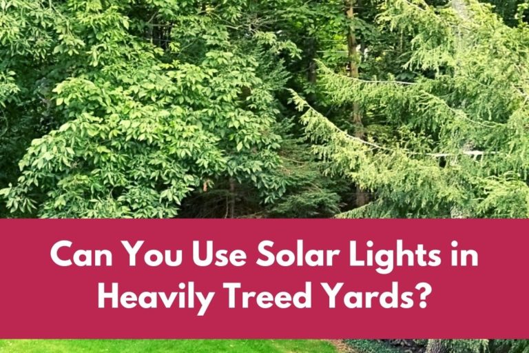 Can You Use Solar Lights in Heavily Treed Yards