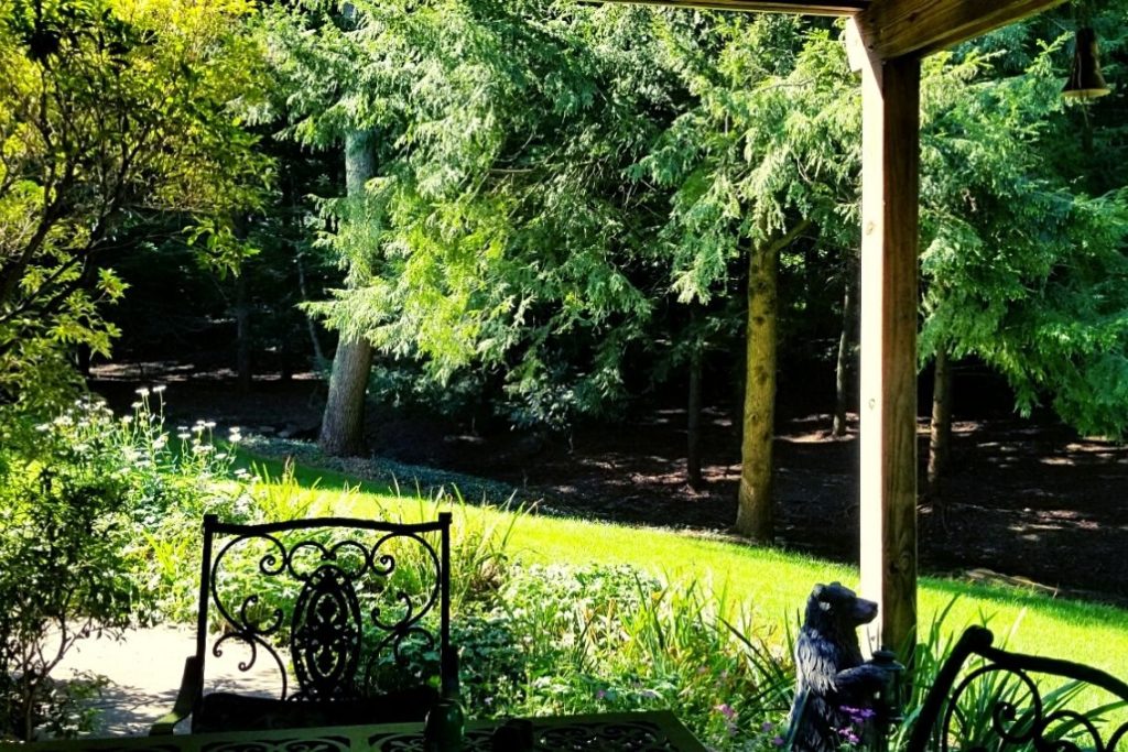 side patio with trees