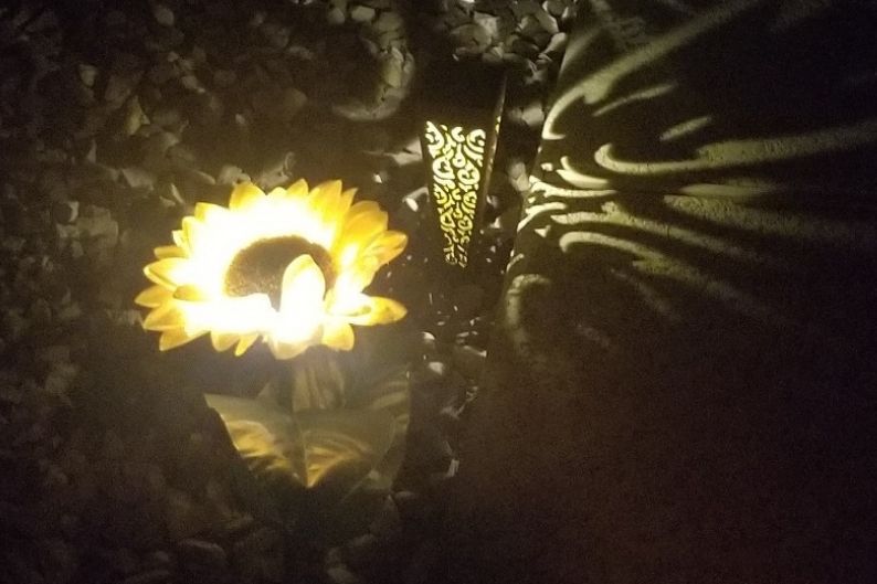 solar sunflower glowing at night