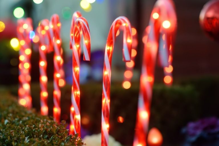 Solar Candy Cane Stake Lights with Stars