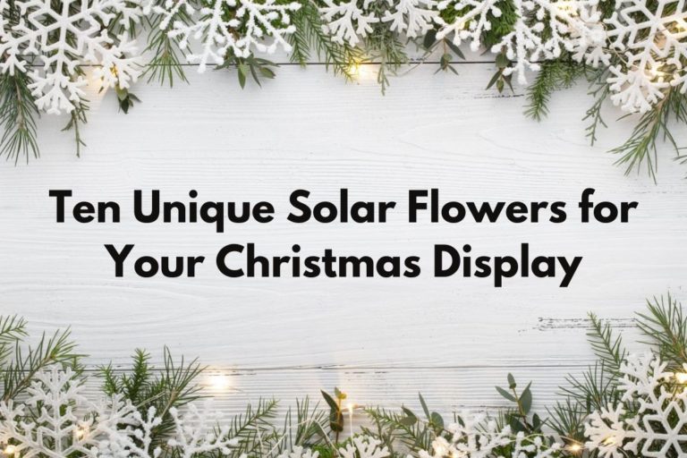 Ten-Unique-Solar-Flowers-for-Your-Christmas-Display