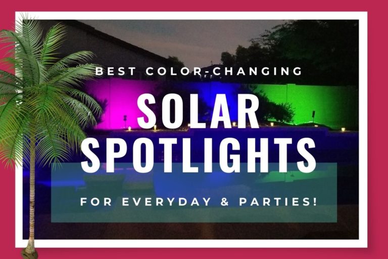 Best Color-Changing Solar Spotlights