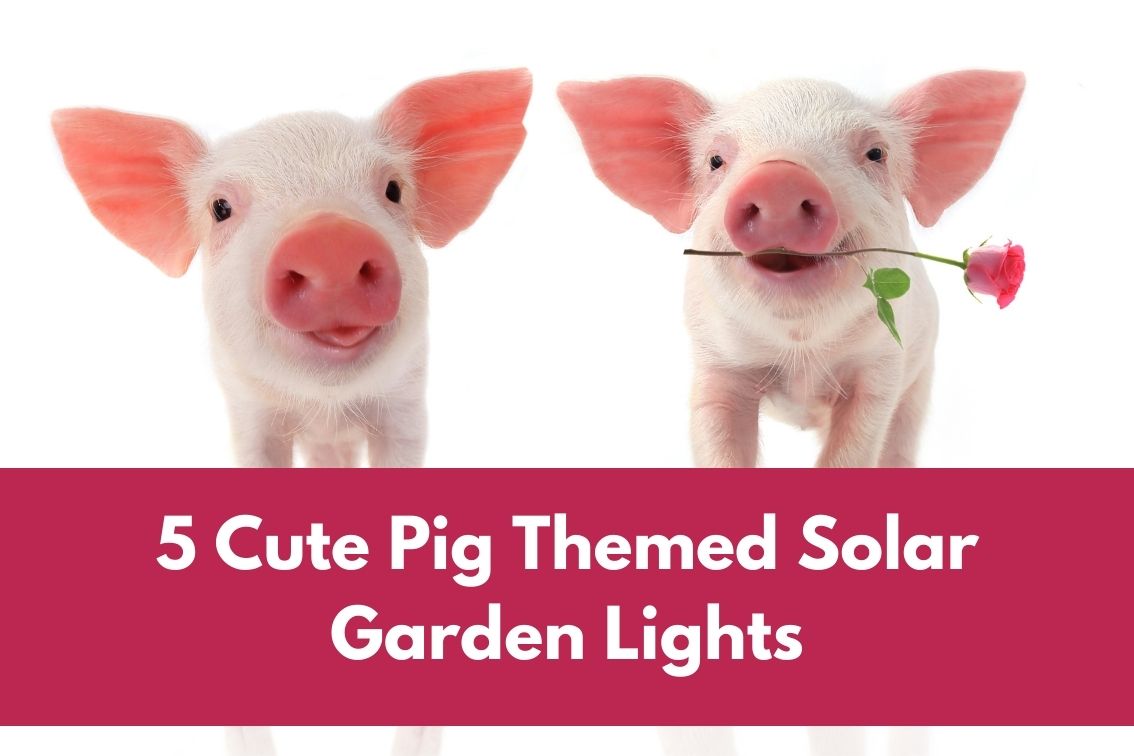 Cute Pig Themed Solar Garden Lights