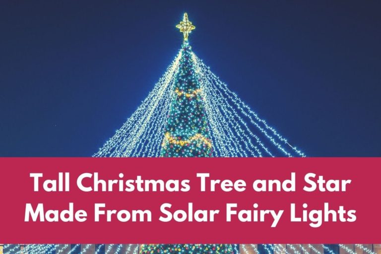 Tall Christmas Tree and Star Made From Solar Fairy Lights