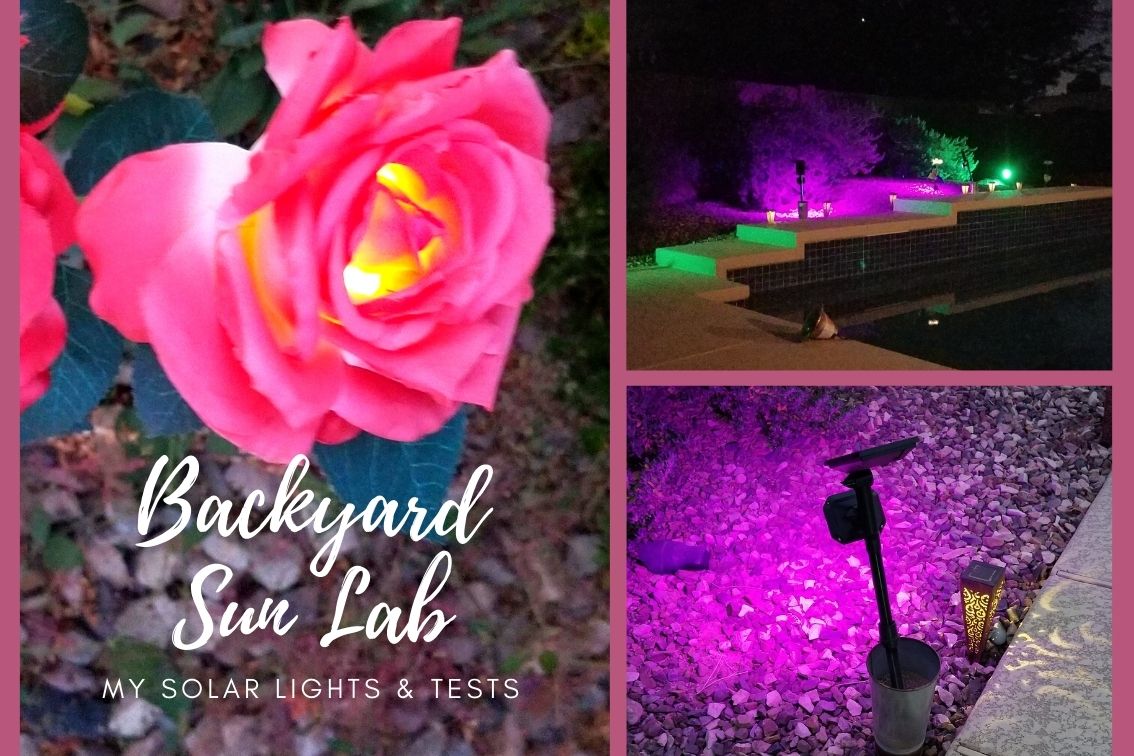 3 types of solar lights including a rose a pathway and a spotlight