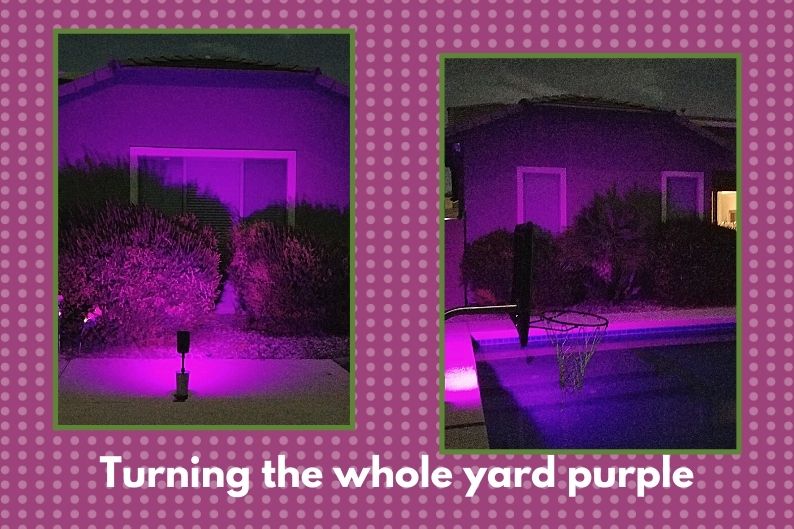 two pictures of the back of a house lit with purple spotlights