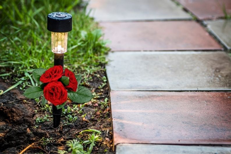 single stake light with red roses