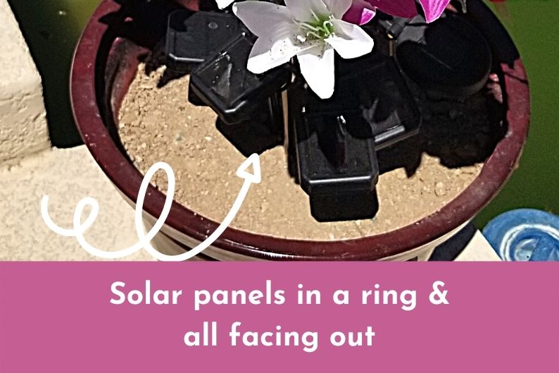 lily solar panels arranged in a ring in a planter