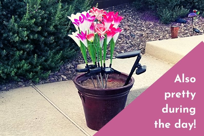 solar lilies in planter during daylight