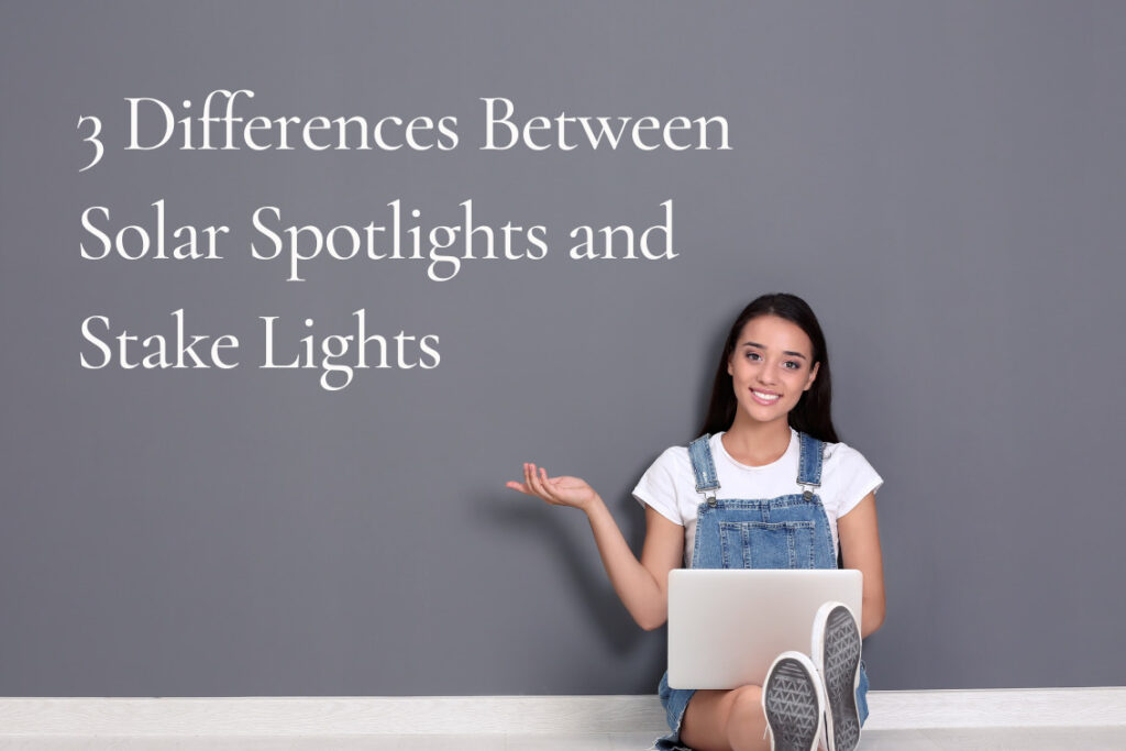 3 Differences between solar spotlights and stake lights